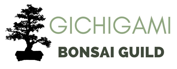 Bonsai Guild